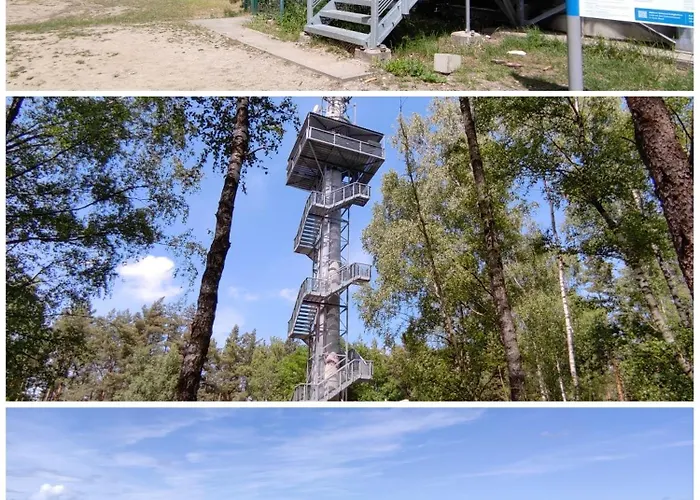 Kleines Haus Am Wald シュヴィーローゼー