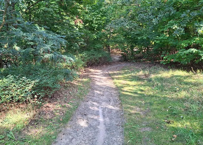 Kleines Haus Am Wald 別荘 *